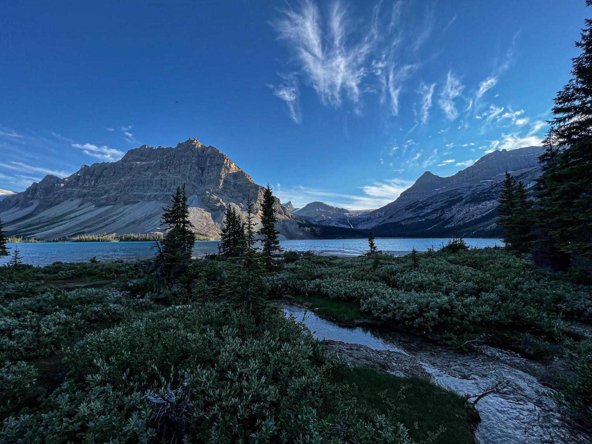 The Lodge At Bow Lake レイク・ルイーズ エクステリア 写真