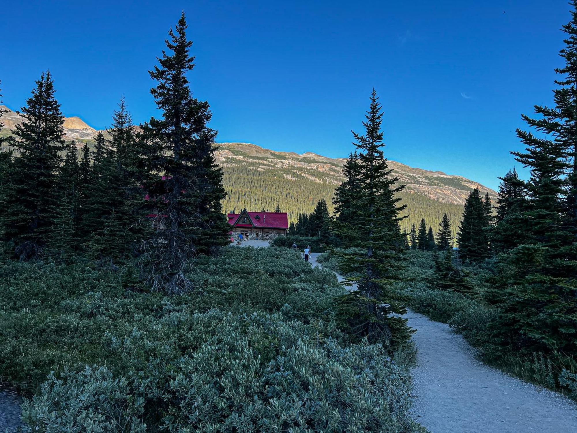 The Lodge At Bow Lake レイク・ルイーズ エクステリア 写真
