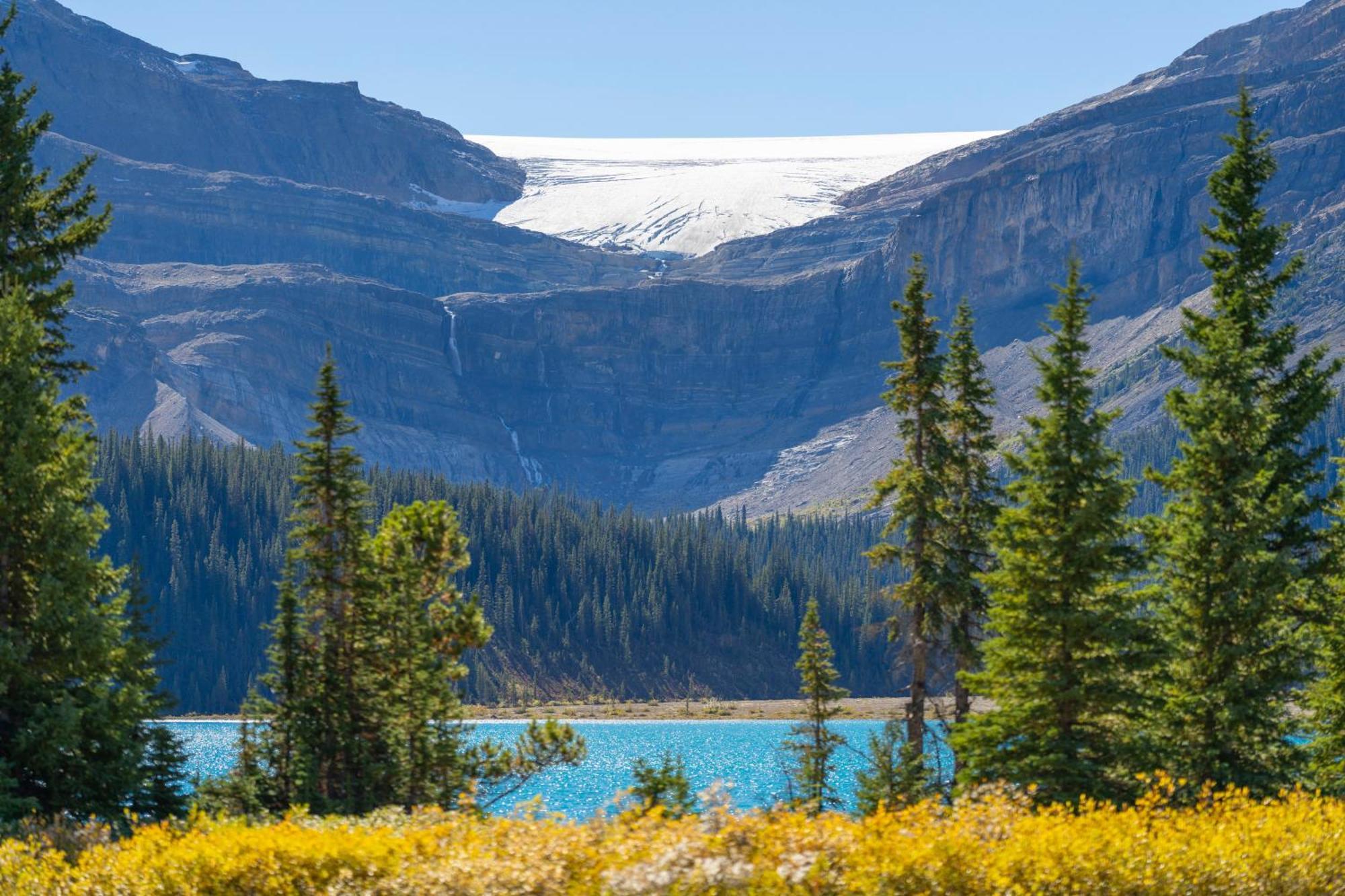 The Lodge At Bow Lake レイク・ルイーズ エクステリア 写真